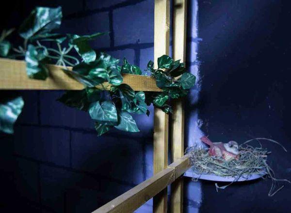 квест Подземелье чёрной луны в Омске